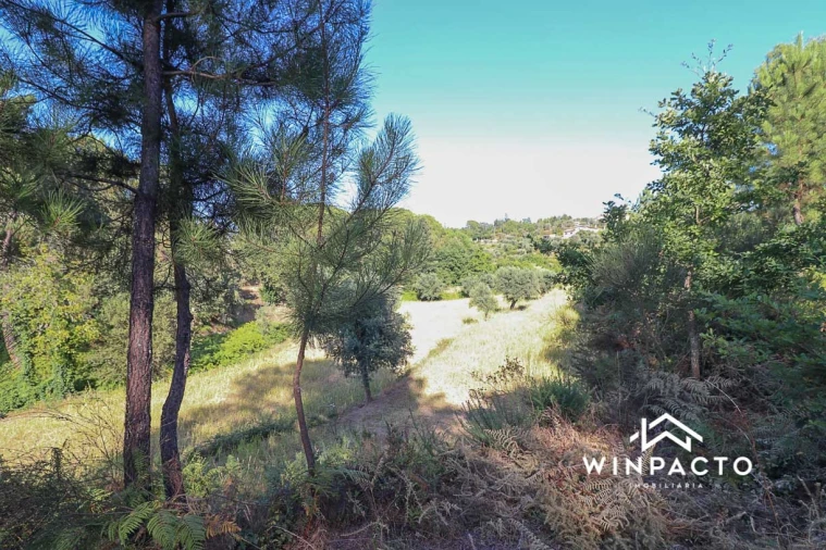Terreno Agricola ou Rústico para Venda em Fornos de Maceira Dão Foto 6