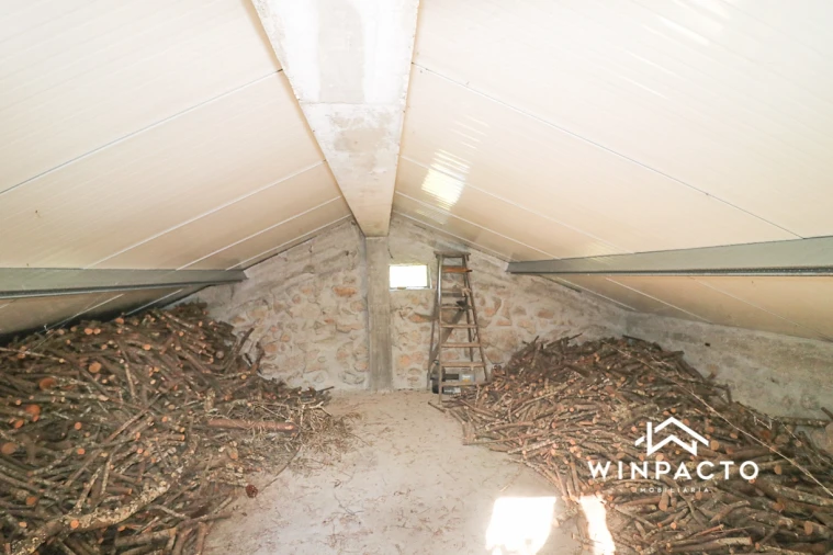 Terreno Agricola ou Rústico para Venda em Fornos de Maceira Dão Foto 16