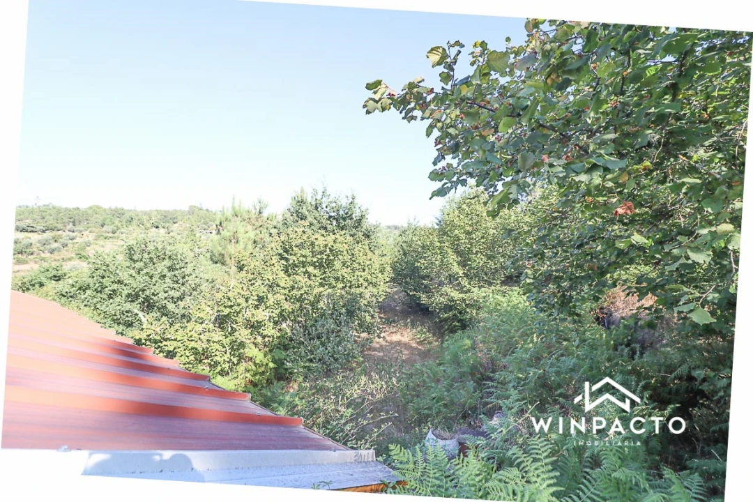 Terreno Agricola ou Rústico para Venda em Fornos de Maceira Dão Foto 18