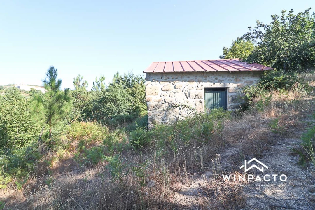 Terreno Agricola ou Rústico para Venda em Fornos de Maceira Dão Foto 9