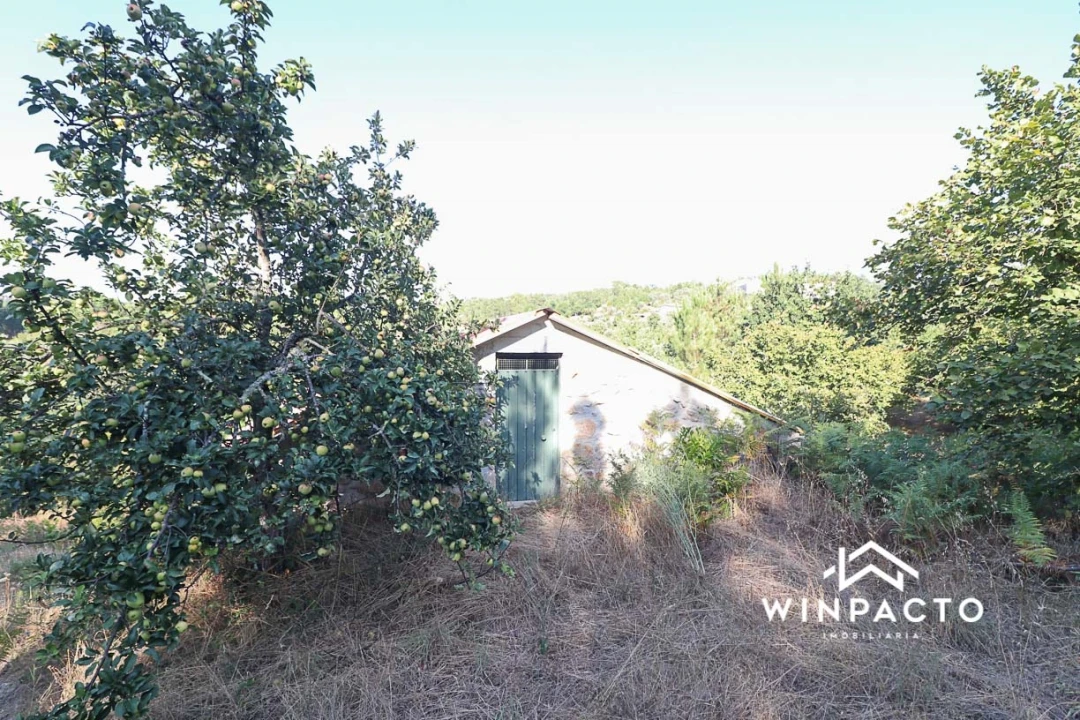 Terreno Agricola ou Rústico para Venda em Fornos de Maceira Dão Foto 12