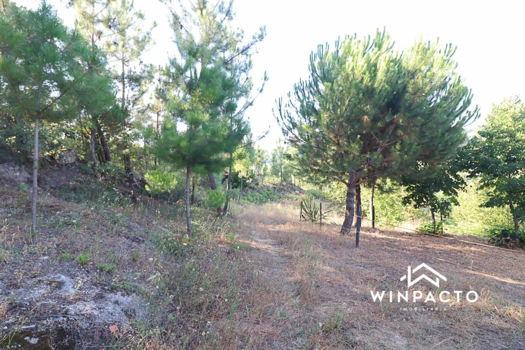 Terreno Agricola ou Rústico para Venda em Fornos de Maceira Dão Foto 19