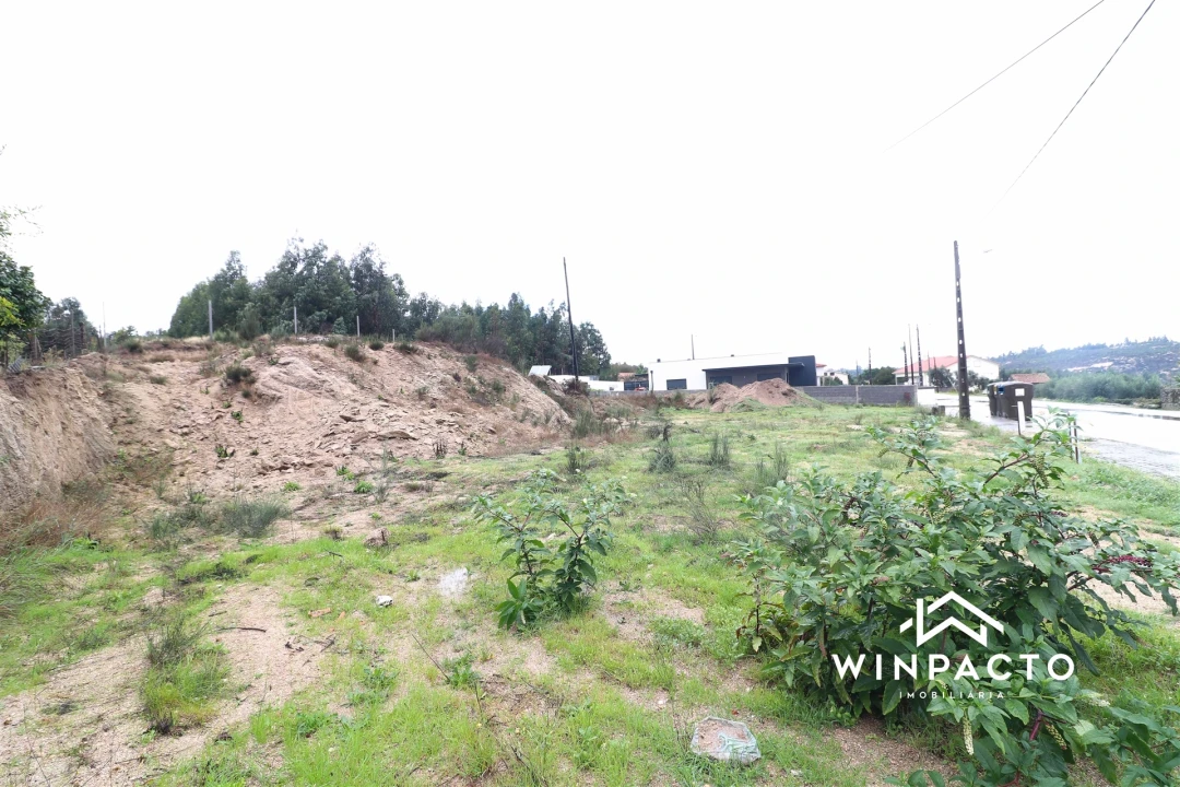 Terreno para Venda em Senhorim Foto 7