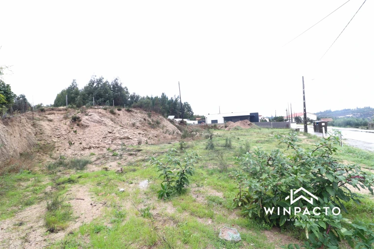 Terreno para Venda em Senhorim Foto 7