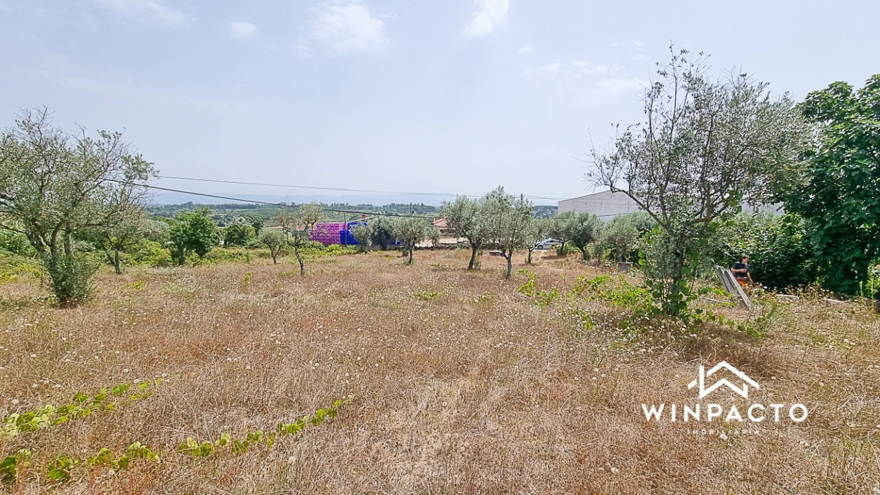 Terreno para Venda em Moimenta de Maceira Dão e Lobelhe do Mato Foto 8