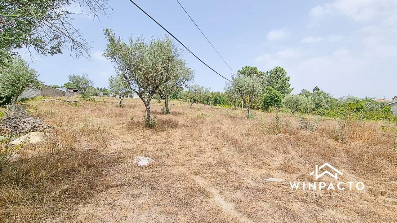 Terreno para Venda em Moimenta de Maceira Dão e Lobelhe do Mato Foto 4