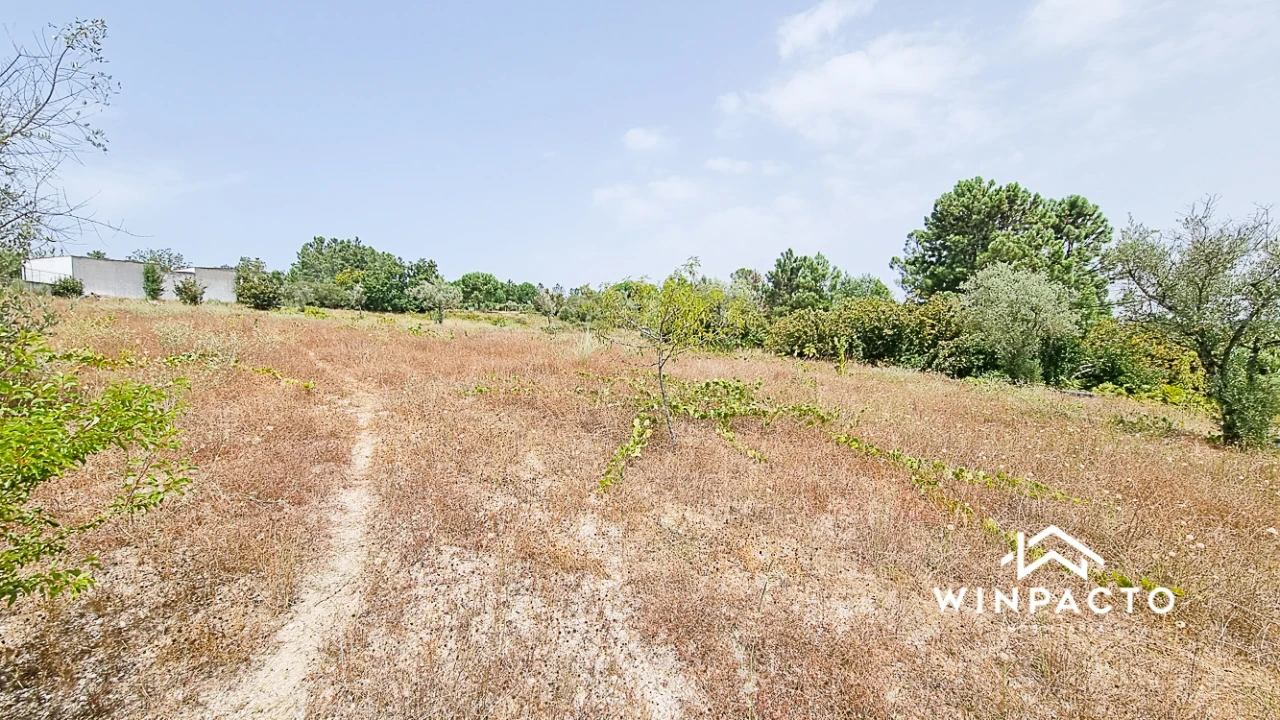 Terreno para Venda em Moimenta de Maceira Dão e Lobelhe do Mato Foto 7