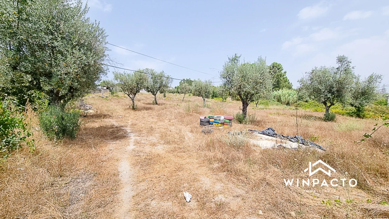Terreno para Venda em Moimenta de Maceira Dão e Lobelhe do Mato Foto 1