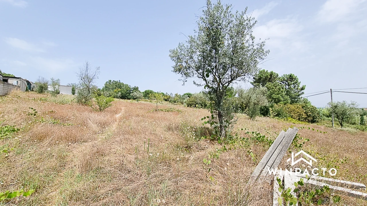 Terreno para Venda em Moimenta de Maceira Dão e Lobelhe do Mato Foto 6