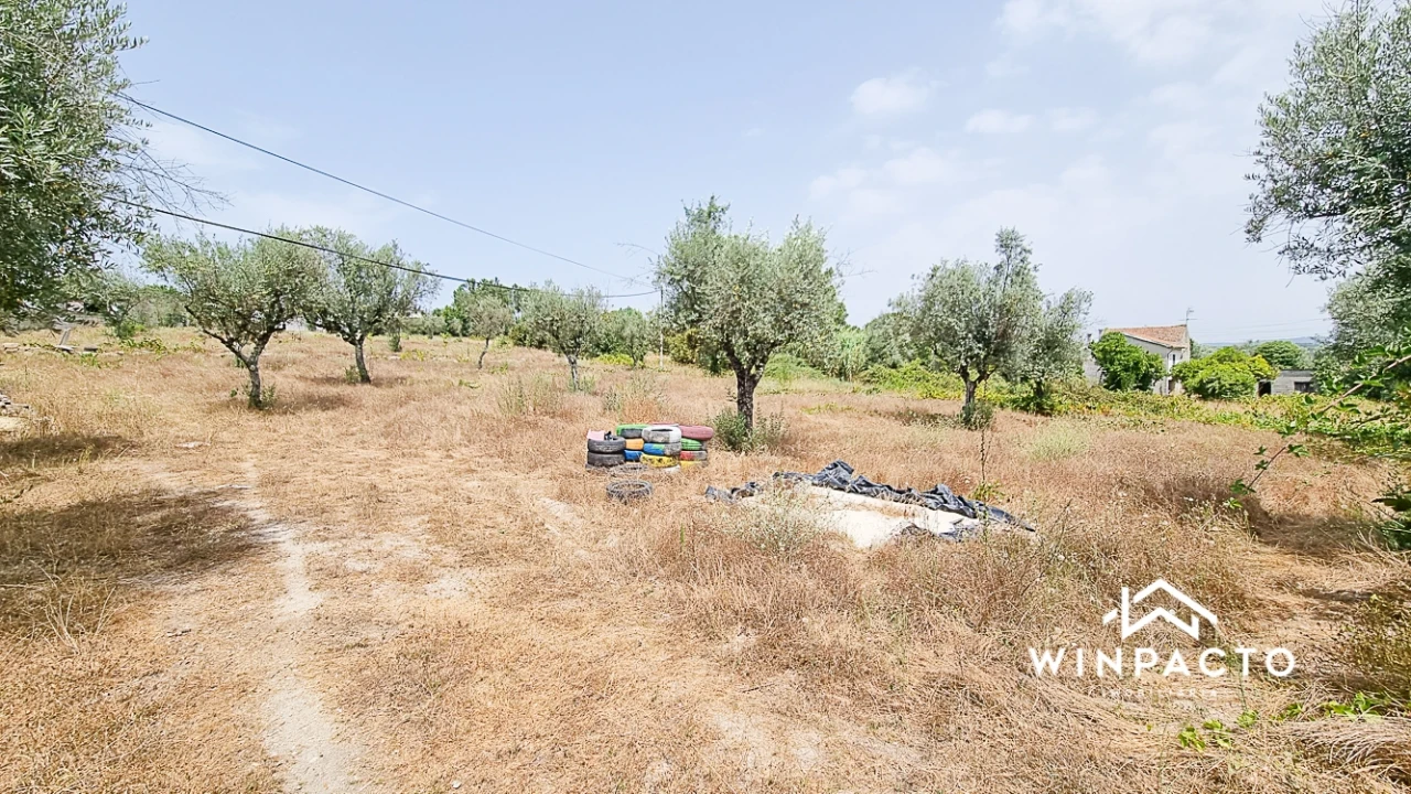 Terreno para Venda em Moimenta de Maceira Dão e Lobelhe do Mato Foto 2