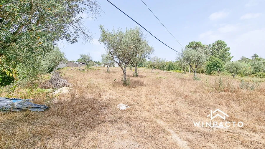 Terreno para Venda em Moimenta de Maceira Dão e Lobelhe do Mato Foto 3