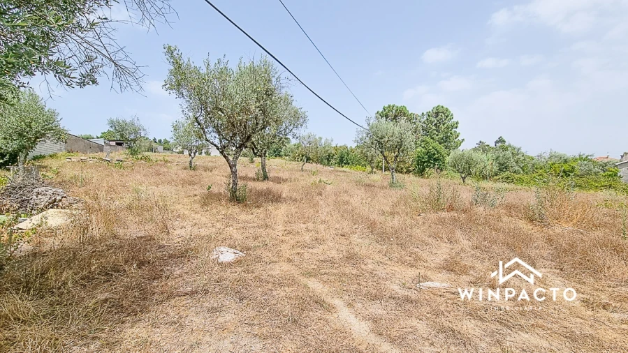 Terreno para Venda em Moimenta de Maceira Dão e Lobelhe do Mato Foto 4