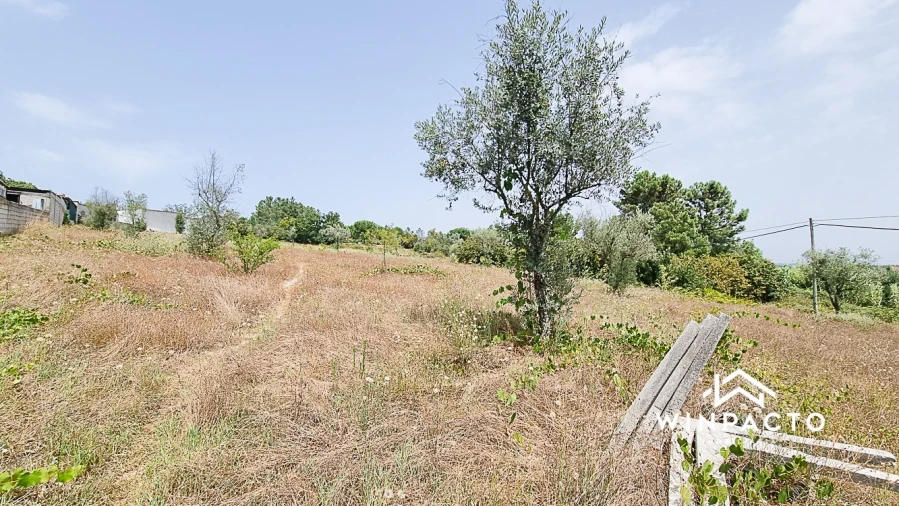 Terreno para Venda em Moimenta de Maceira Dão e Lobelhe do Mato Foto 6