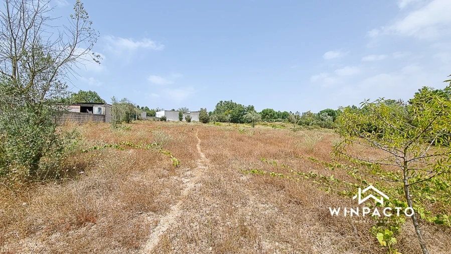 Terreno para Venda em Moimenta de Maceira Dão e Lobelhe do Mato Foto 9