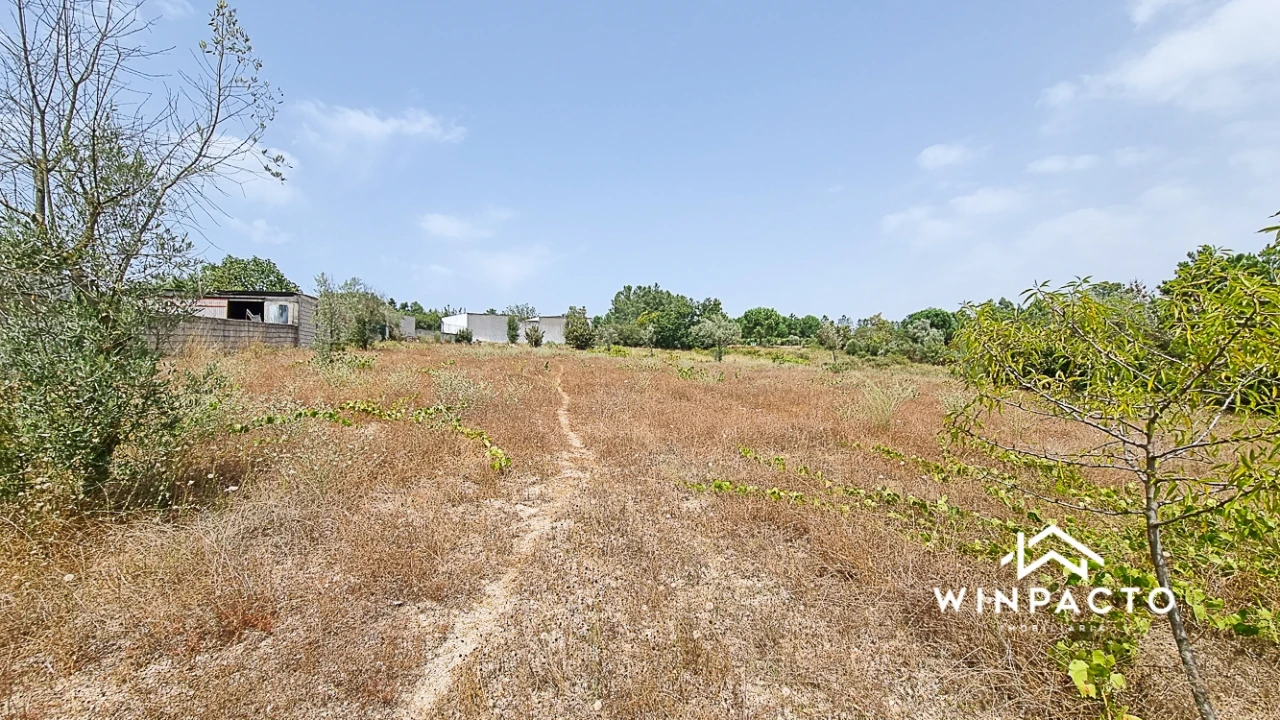Terreno para Venda em Moimenta de Maceira Dão e Lobelhe do Mato Foto 9