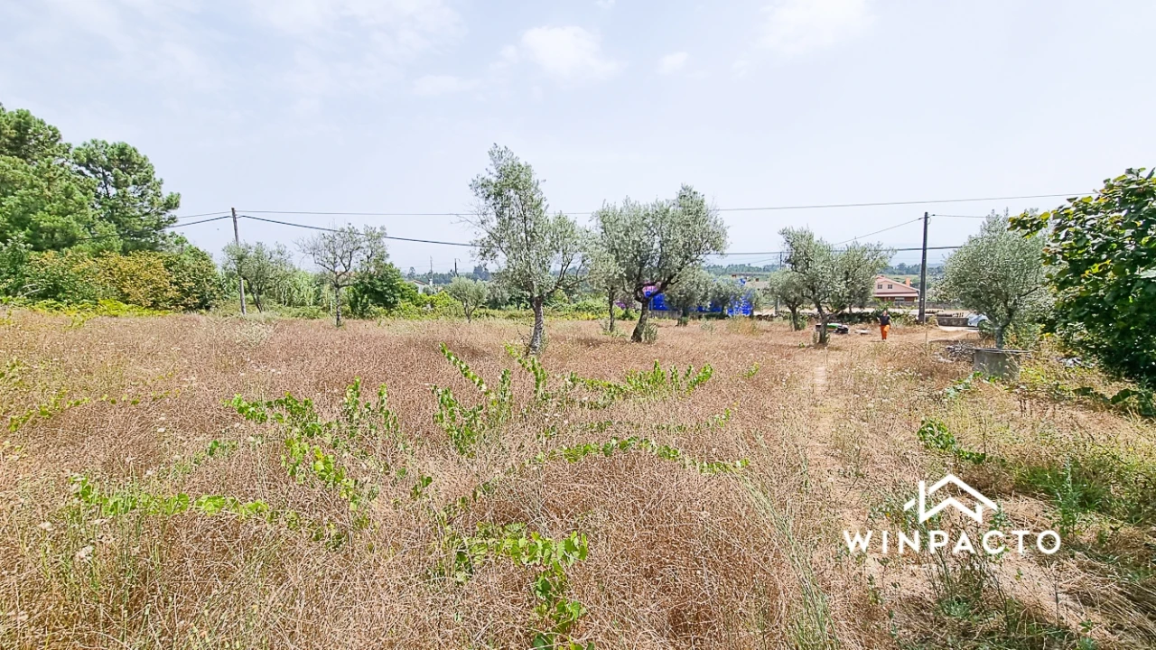 Terreno para Venda em Moimenta de Maceira Dão e Lobelhe do Mato Foto 5