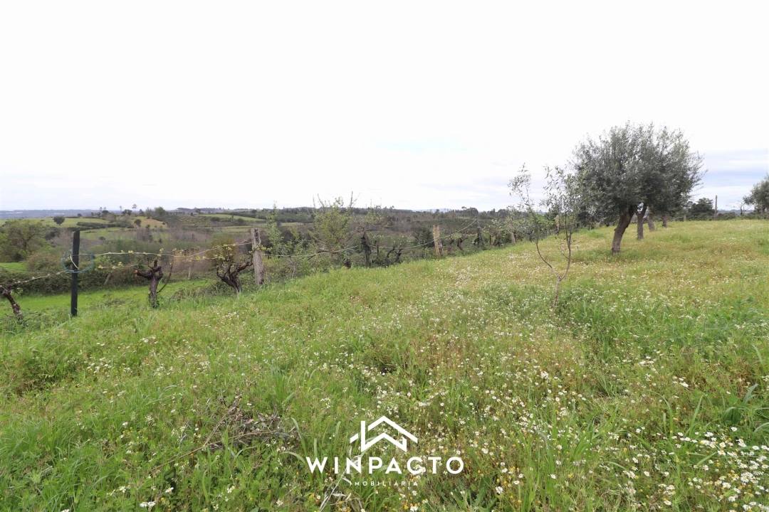Terreno Agricola ou Rústico para Venda em Tourais e Lajes Foto 11