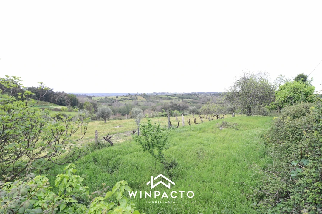 Terreno Agricola ou Rústico para Venda em Tourais e Lajes Foto 15