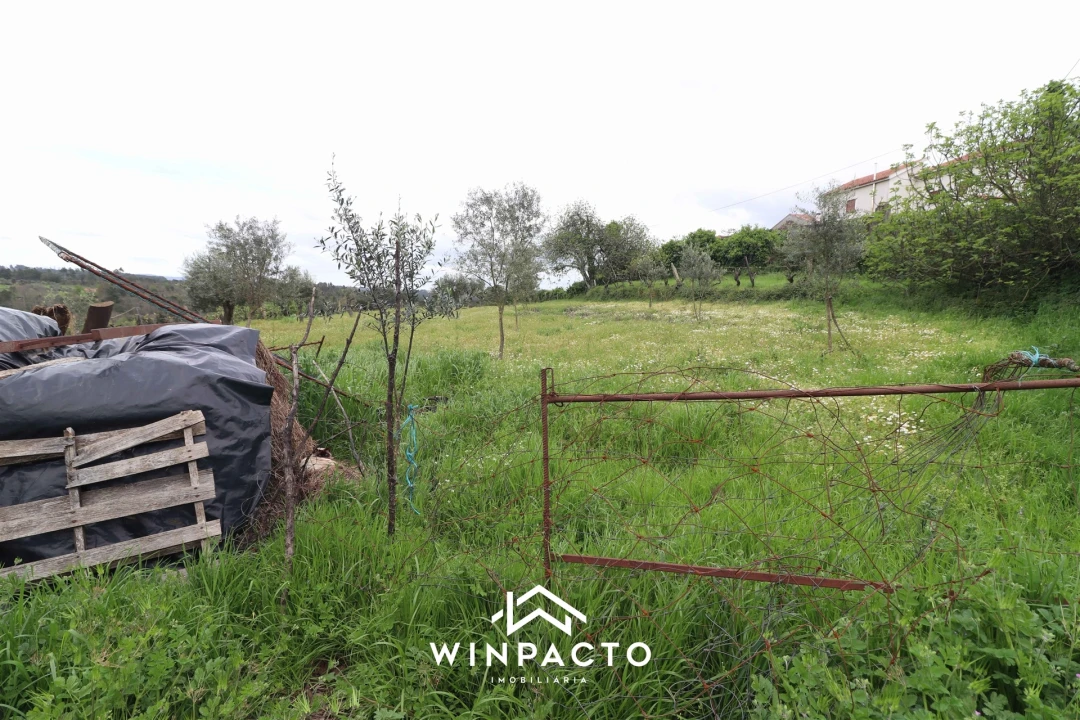 Terreno Agricola ou Rústico para Venda em Tourais e Lajes Foto 12