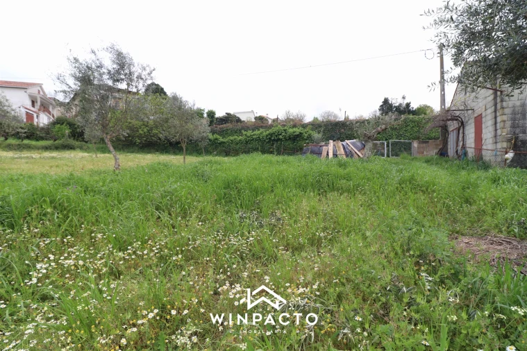 Terreno Agricola ou Rústico para Venda em Tourais e Lajes Foto 8