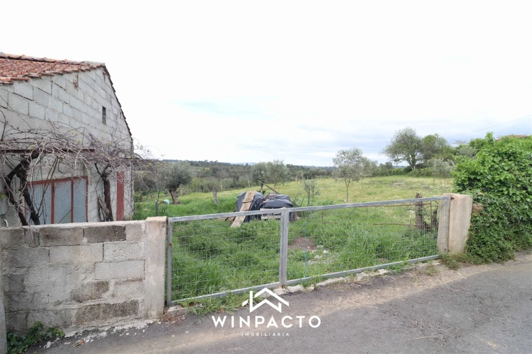 Terreno Agricola ou Rústico para Venda em Tourais e Lajes Foto 2
