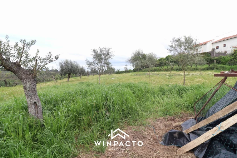 Terreno Agricola ou Rústico para Venda em Tourais e Lajes Foto 5