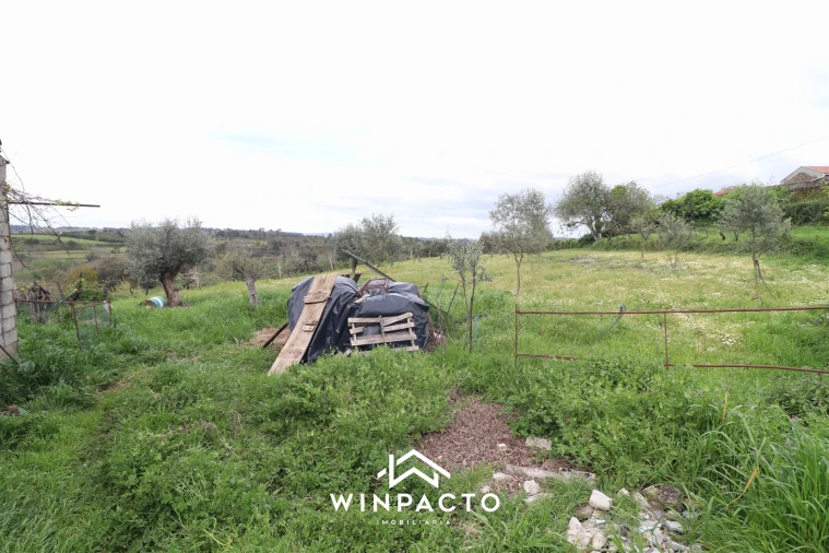 Terreno Agricola ou Rústico para Venda em Tourais e Lajes Foto 4