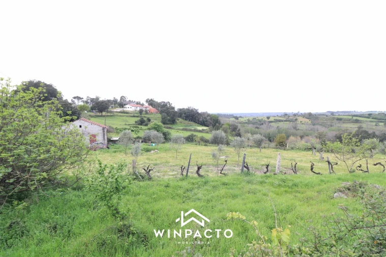 Terreno Agricola ou Rústico para Venda em Tourais e Lajes Foto 14