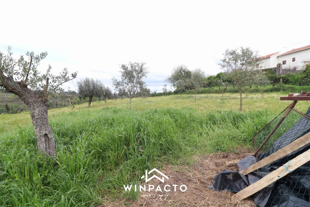 Terreno Agricola ou Rústico para Venda em Tourais e Lajes Foto 5