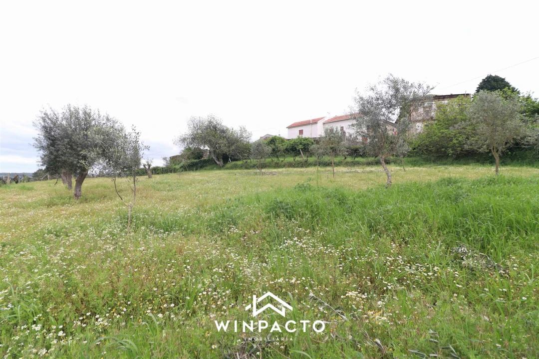 Terreno Agricola ou Rústico para Venda em Tourais e Lajes Foto 6