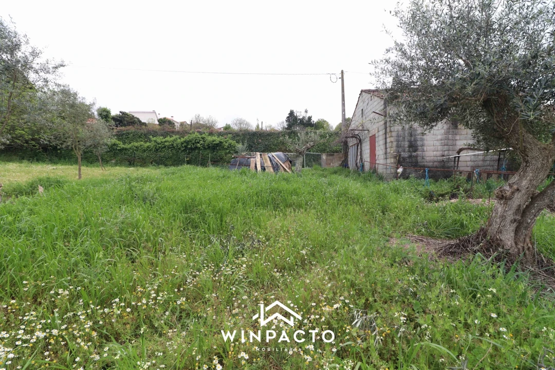 Terreno Agricola ou Rústico para Venda em Tourais e Lajes Foto 7