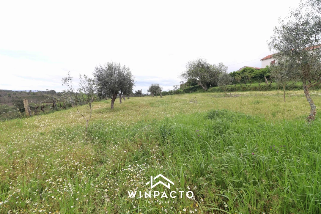 Terreno Agricola ou Rústico para Venda em Tourais e Lajes Foto 10