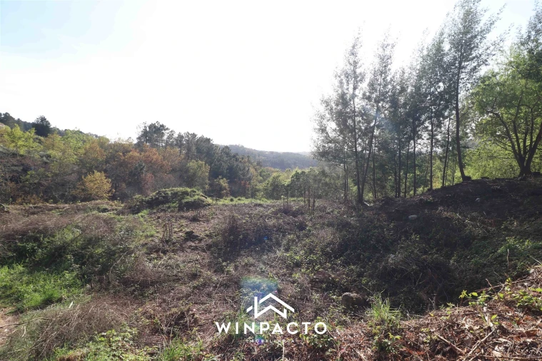 Terreno para Venda em Seia, São Romão e Lapa dos Dinheiros Foto 10