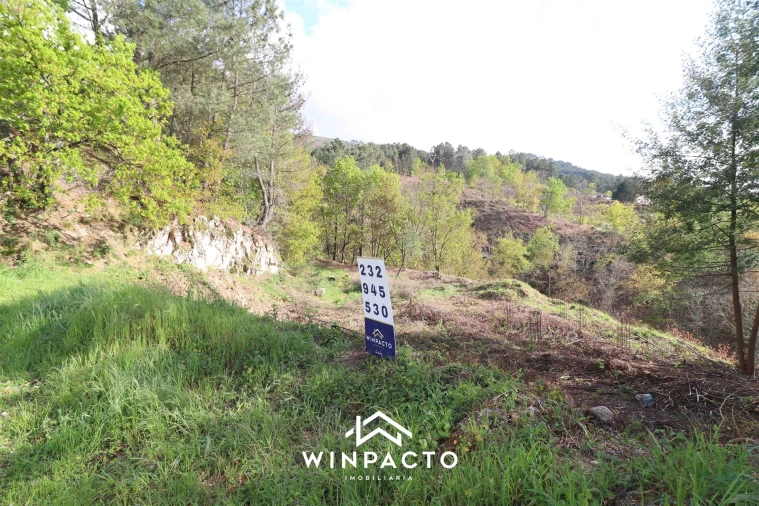 Terreno para Venda em Seia, São Romão e Lapa dos Dinheiros Foto 4