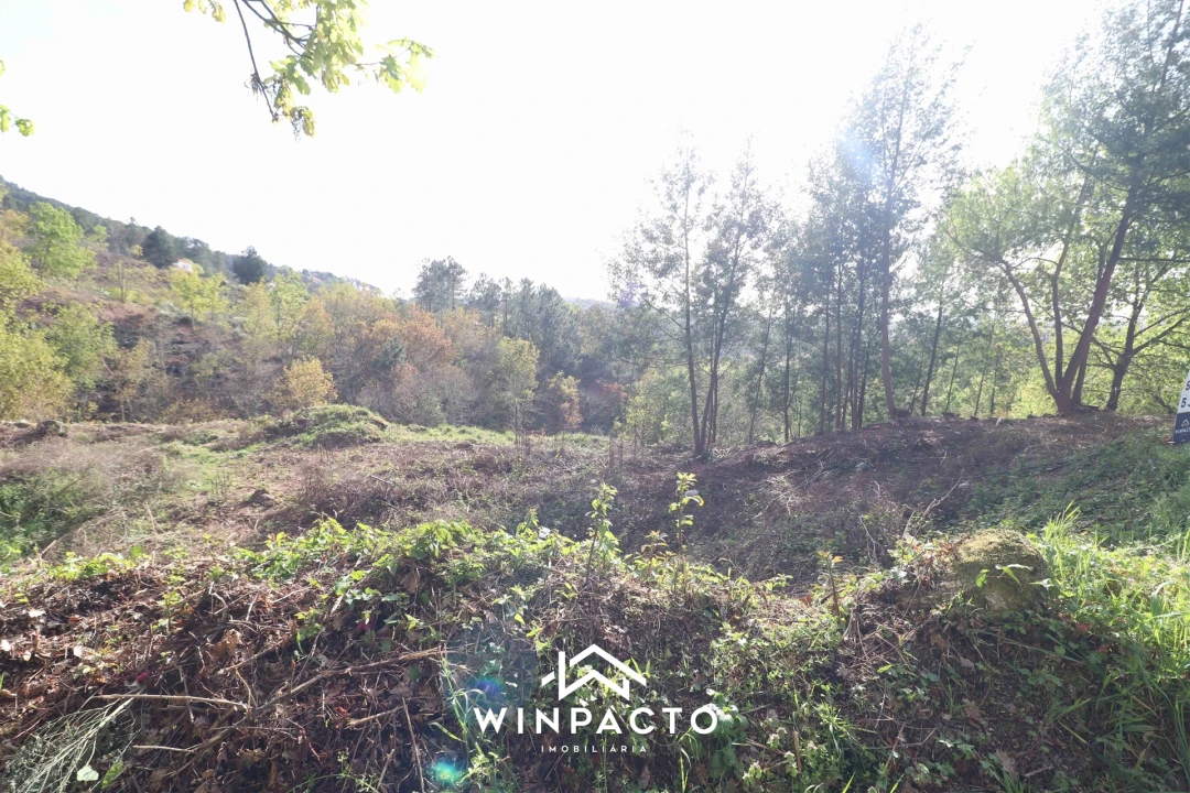 Terreno para Venda em Seia, São Romão e Lapa dos Dinheiros Foto 5