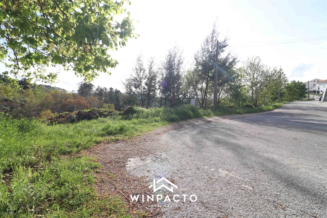 Terreno para Venda em Seia, São Romão e Lapa dos Dinheiros Foto 3