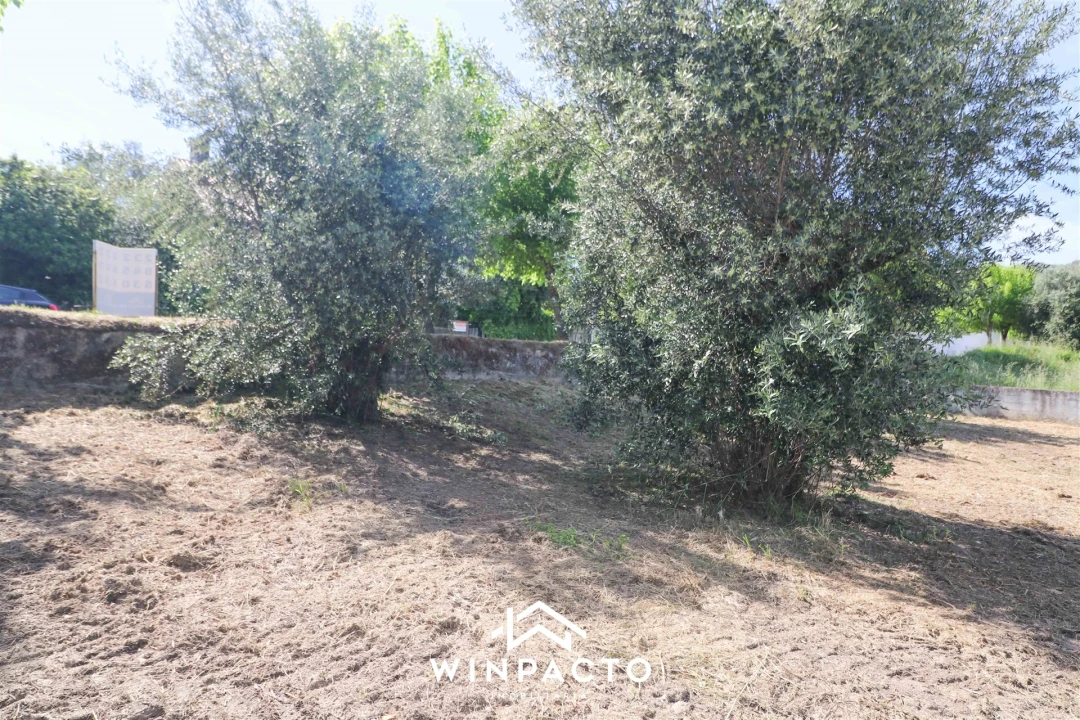 Terreno para Venda em Nelas Foto 7