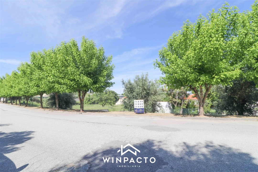 Terreno para Venda em Nelas Foto 11