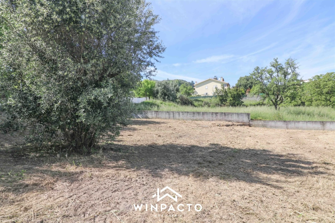 Terreno para Venda em Nelas Foto 6