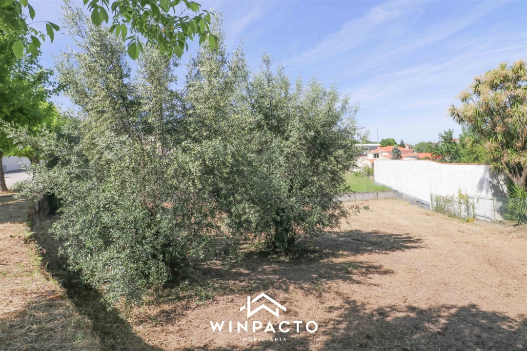 Terreno para Venda em Nelas Foto 4