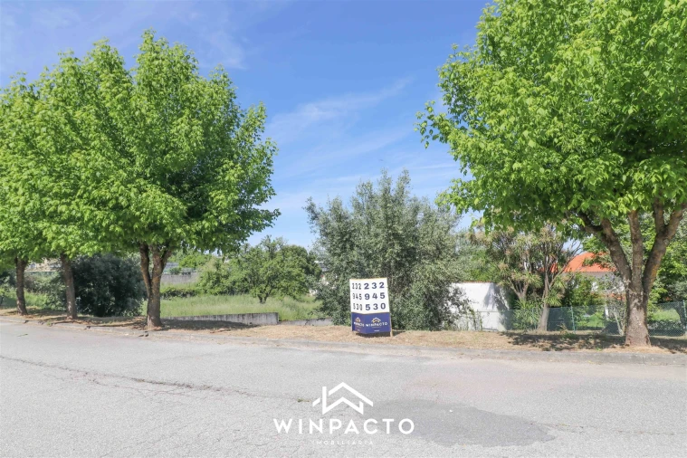 Terreno para Venda em Nelas Foto 3