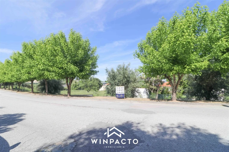 Terreno para Venda em Nelas Foto 10