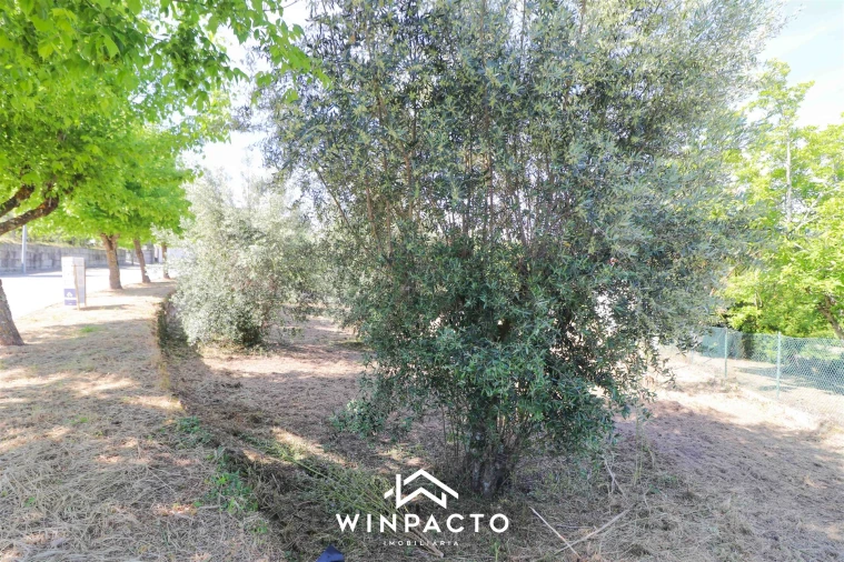 Terreno para Venda em Nelas Foto 8