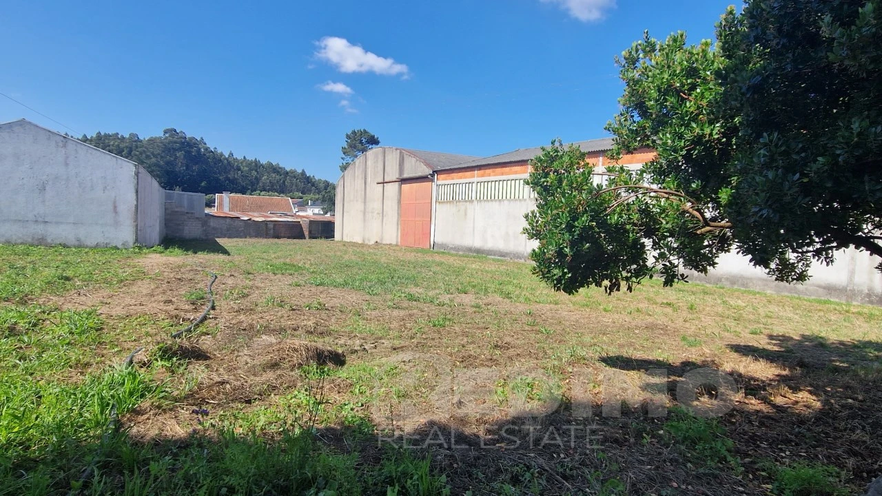 Armazém para Venda em Lourosa Foto 6