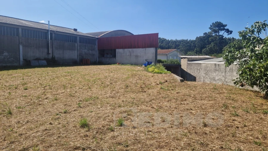Armazém para Venda em Lourosa Foto 9