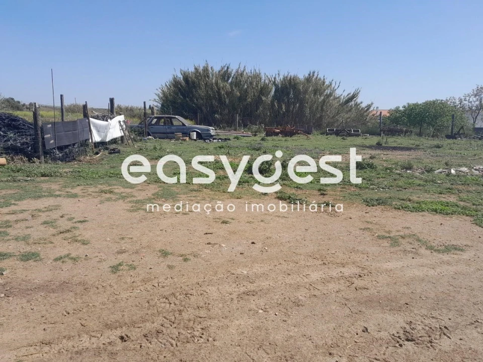 Terreno Agricola ou Rústico para Venda em Beja (Salvador e Santa Maria da Feira) Foto 1