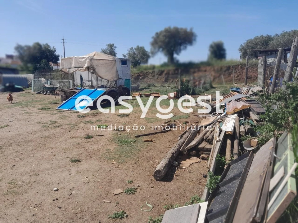Terreno Agricola ou Rústico para Venda em Beja (Salvador e Santa Maria da Feira) Foto 2