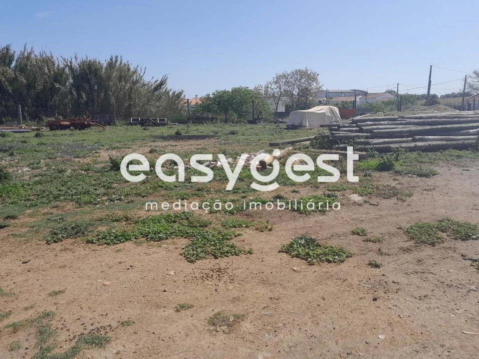 Terreno Agricola ou Rústico para Venda em Beja (Salvador e Santa Maria da Feira) Foto 5