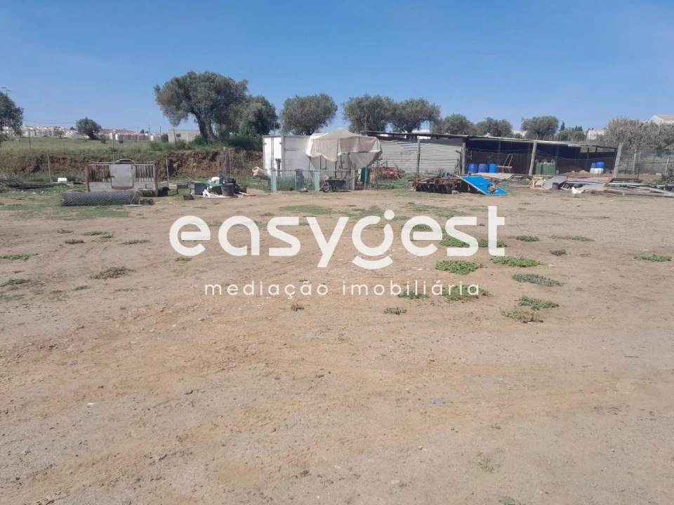 Terreno Agricola ou Rústico para Venda em Beja (Salvador e Santa Maria da Feira) Foto 6