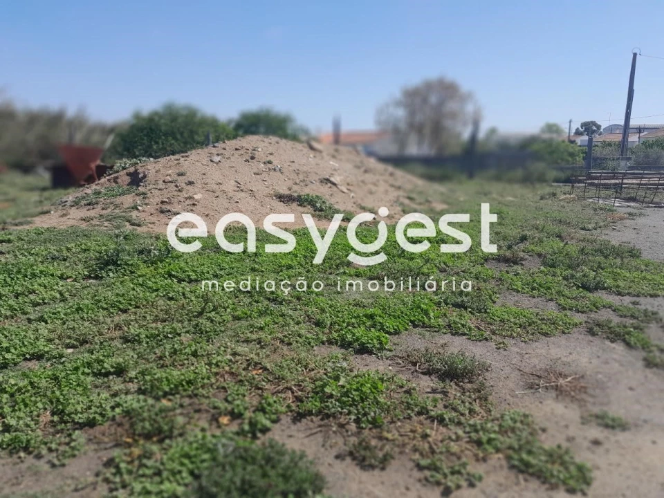 Terreno Agricola ou Rústico para Venda em Beja (Salvador e Santa Maria da Feira) Foto 9